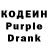 Кодеин Purple Drank Rody L.